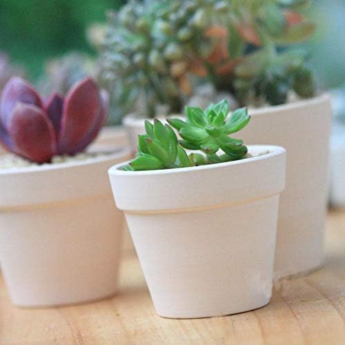 White Terra Planter