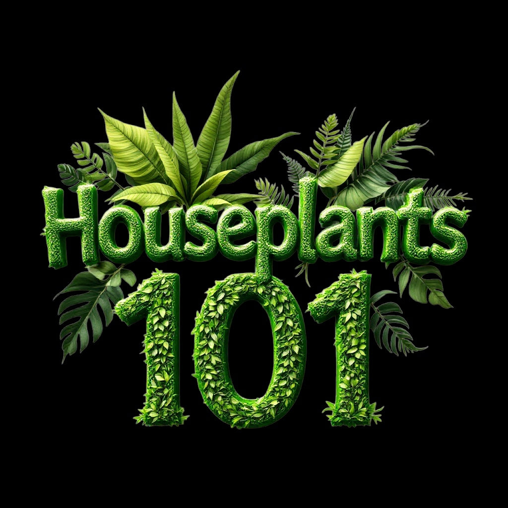 Houseplants 101