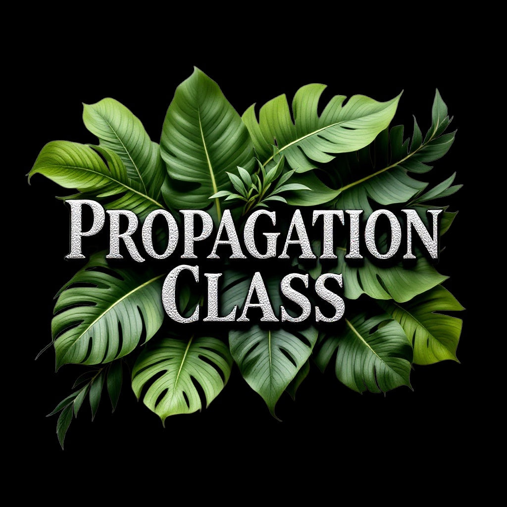 Propagation Class