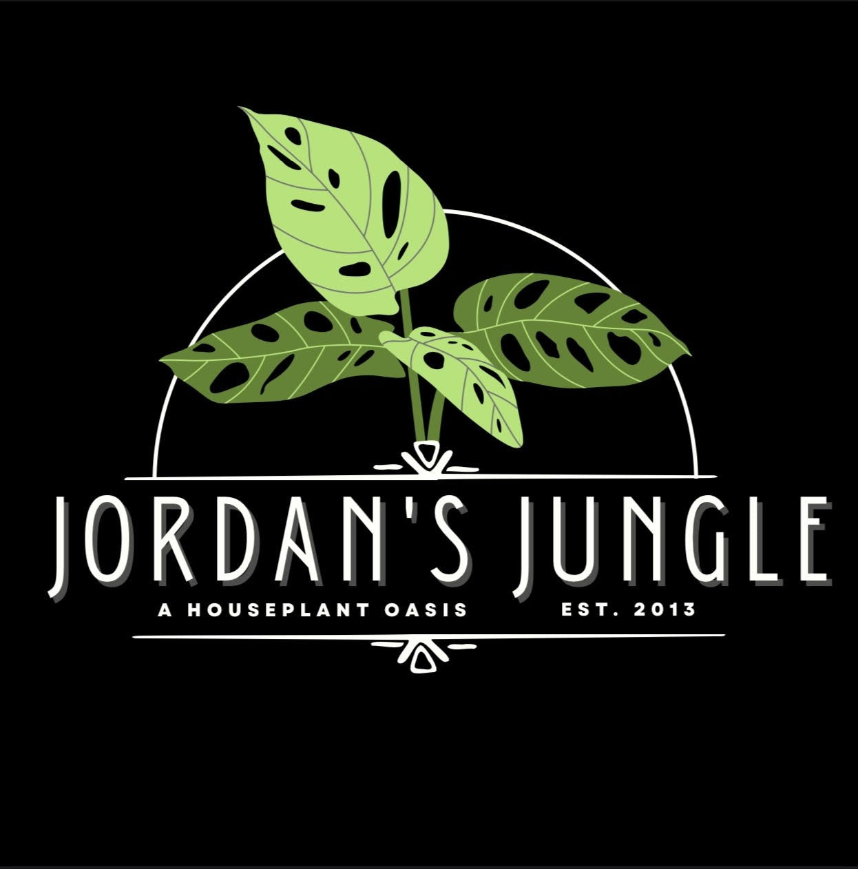 Philodendron Kathleen – Jordan's Jungle