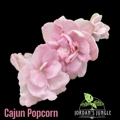 Cajun Popcorn