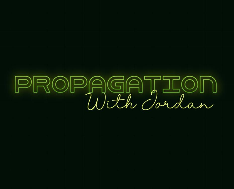 Propagation with Jordan (10/16/24)