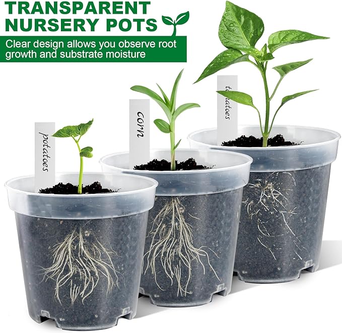 Transparent Nursery Pot