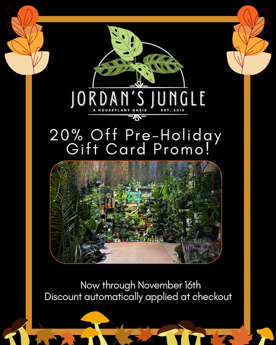 JUNGLE GIFT CARDS - NOW 20% OFF!