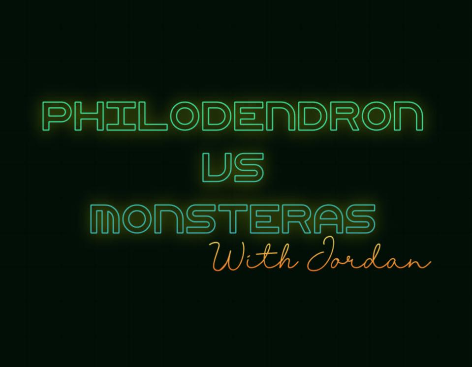 Monsteras vs Philos with Jordan (11/6/24)