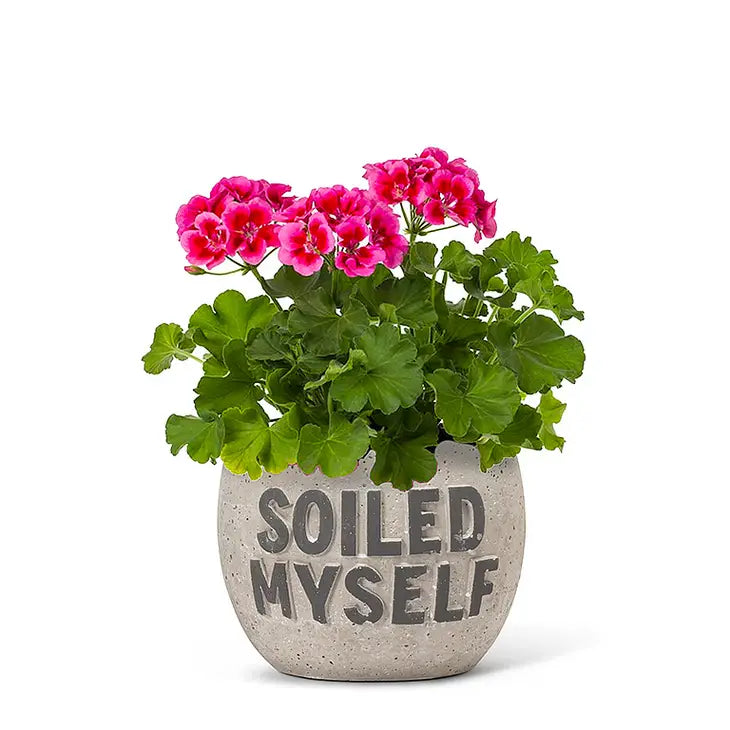 4" I soiled myself planter