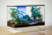 SmartTerra Autonomous Terrarium